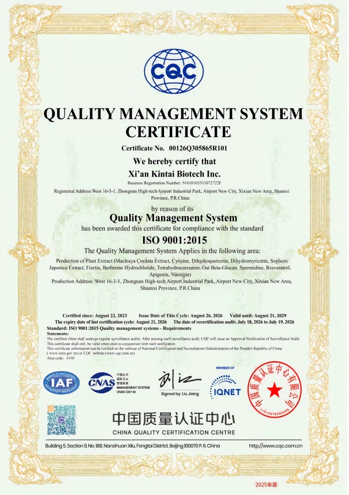 KINTAI Quality Management System KINTAI Quality Management System
