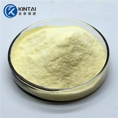 Phosphatidylcholine Lecithin Powdwr